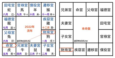 流月查詢|如何正確理解紫微斗數流月，輕鬆掌握你的運勢走向